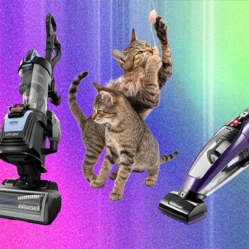The Best Vacuum for Pet Hair—We Tested Many to Find Which Ones Work Best (2026)